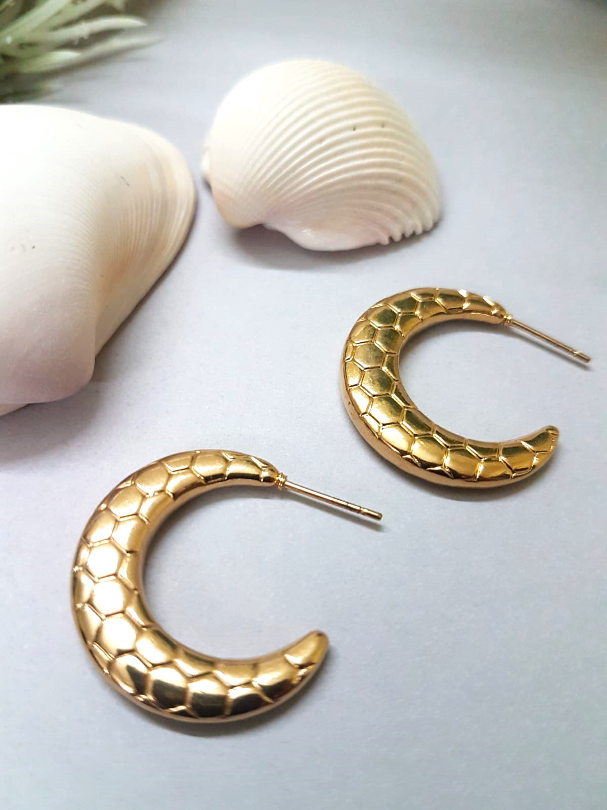 Honeycaves Hoop Earrings